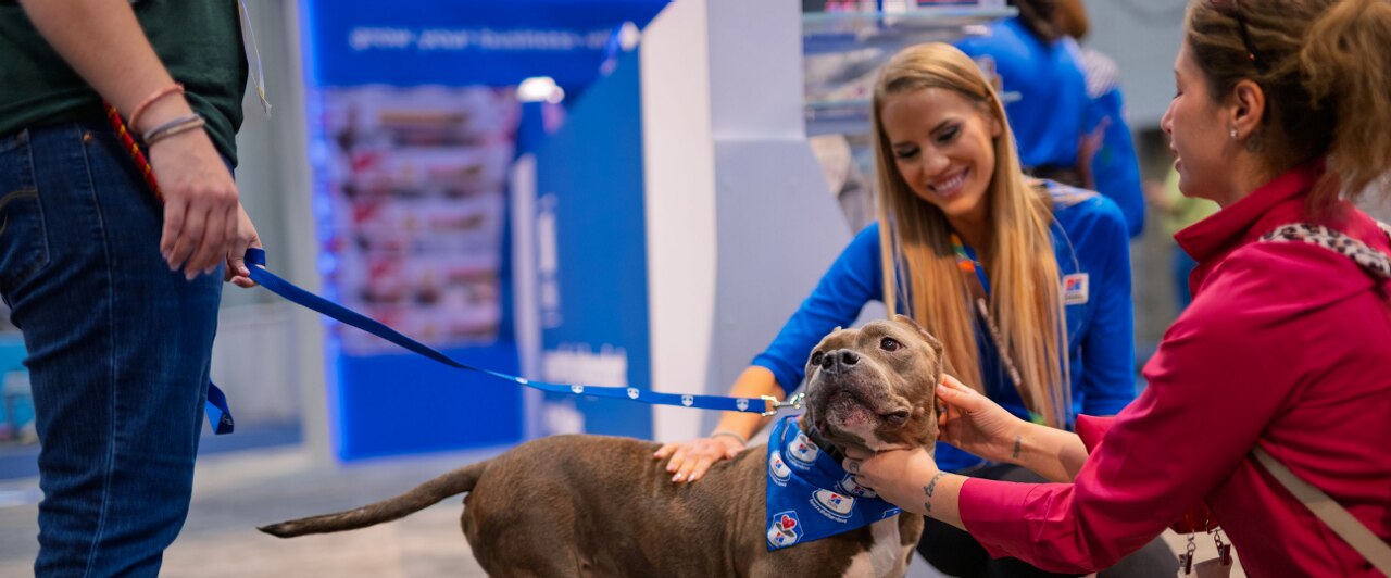 Two women petting a dog that's wearing a bandana during a "Hill's Food, Shelter & Love" event.
