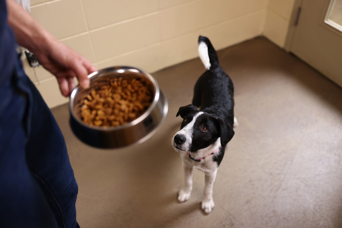 hills food shelter love hero banner