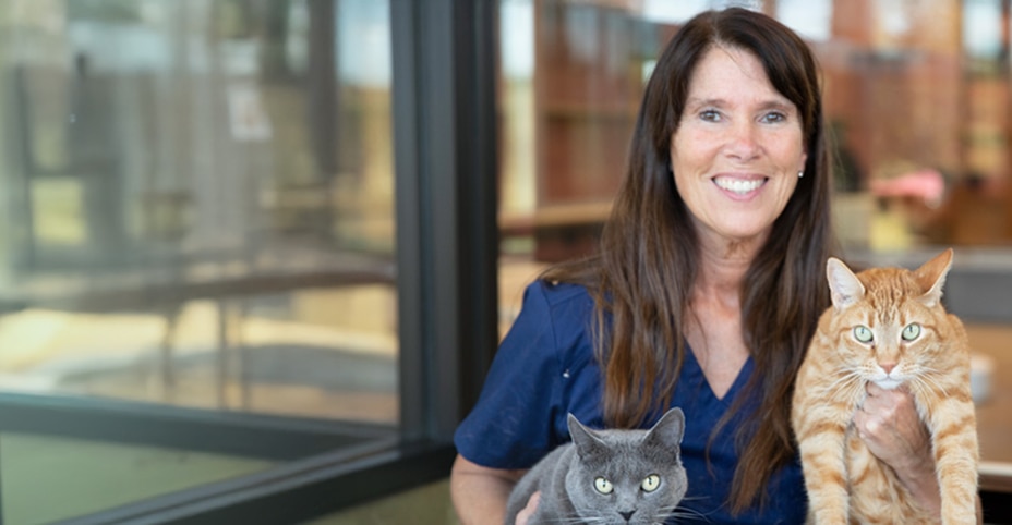 Smiling veterinarian holding two cats, one gray and the other orange, while smiling in front of a pet clinic.