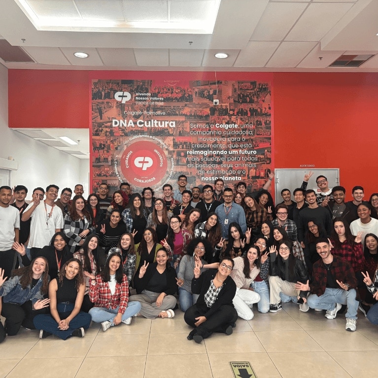 brazil intern group