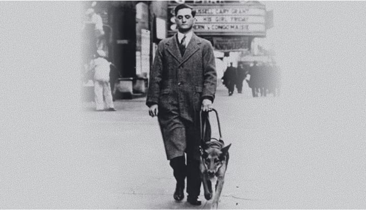 Black-and-white photo of Dr. Mark L. Morris walking alongside his guide dog Buddy on a city street in the 1930s.